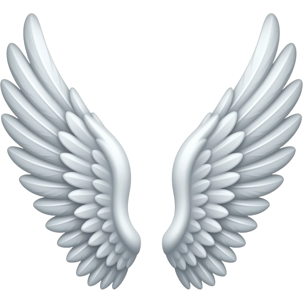 Both side wings together emoji