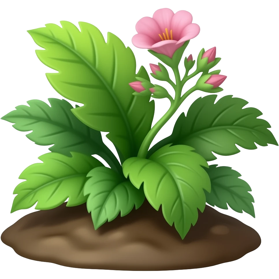green plant from the ground with leafs And Pink flowers blooming emoji