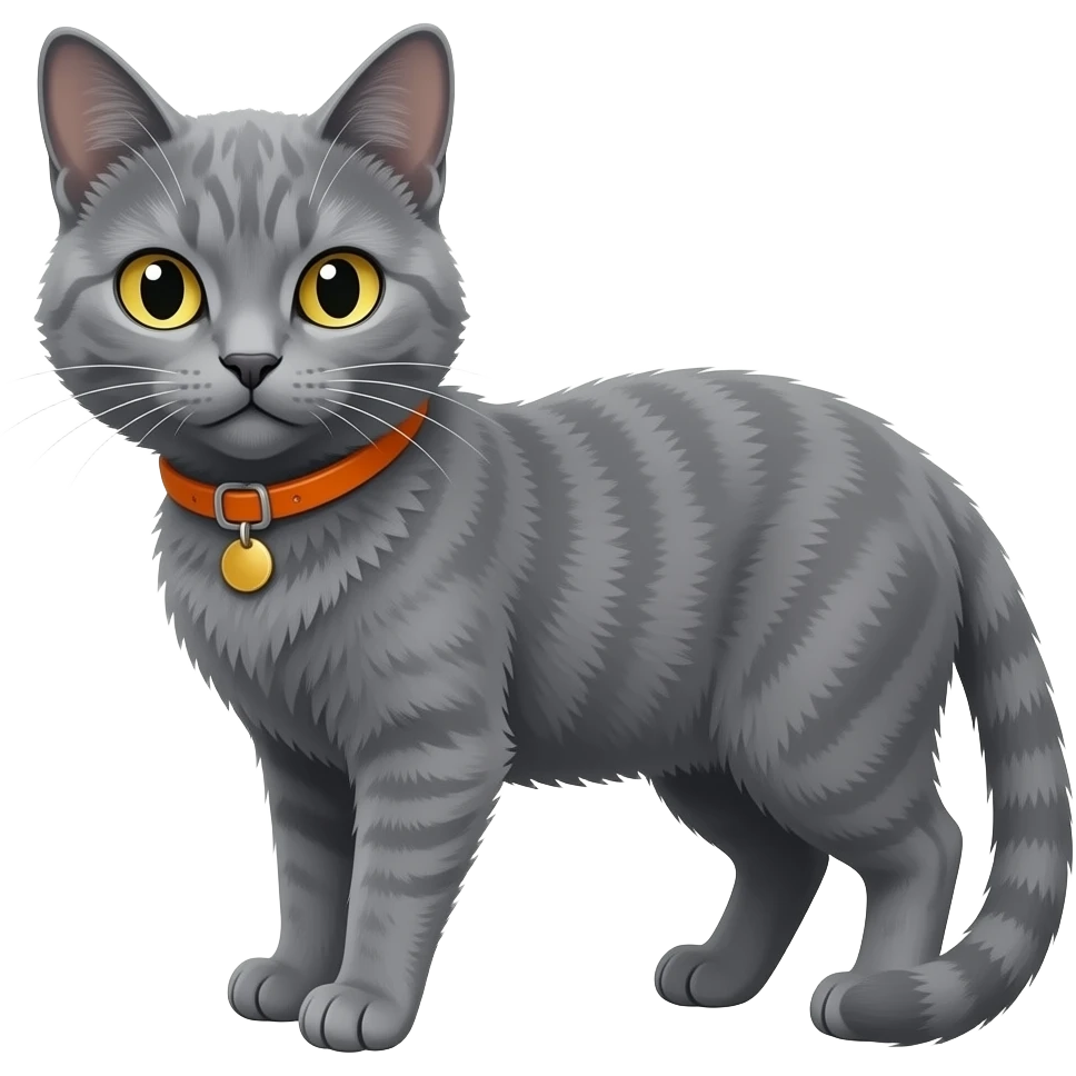 Gato con cabeza medio grande, delgado, de pelaje color plomo, con collar anaranjado, color de ojos amarillo, con mucho pelaje emoji