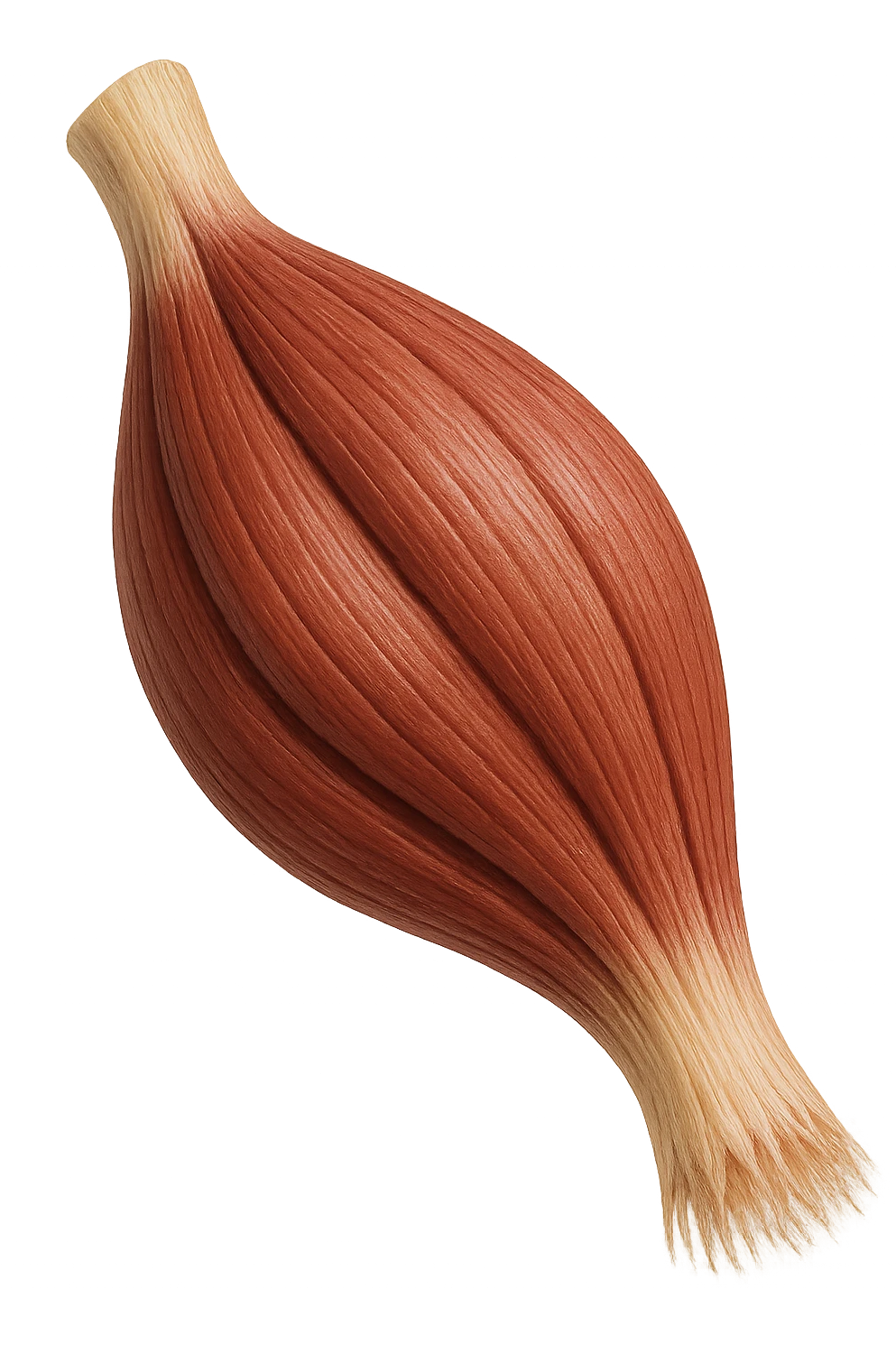 muscolo umano porzione anatomica iperrealistico emoji