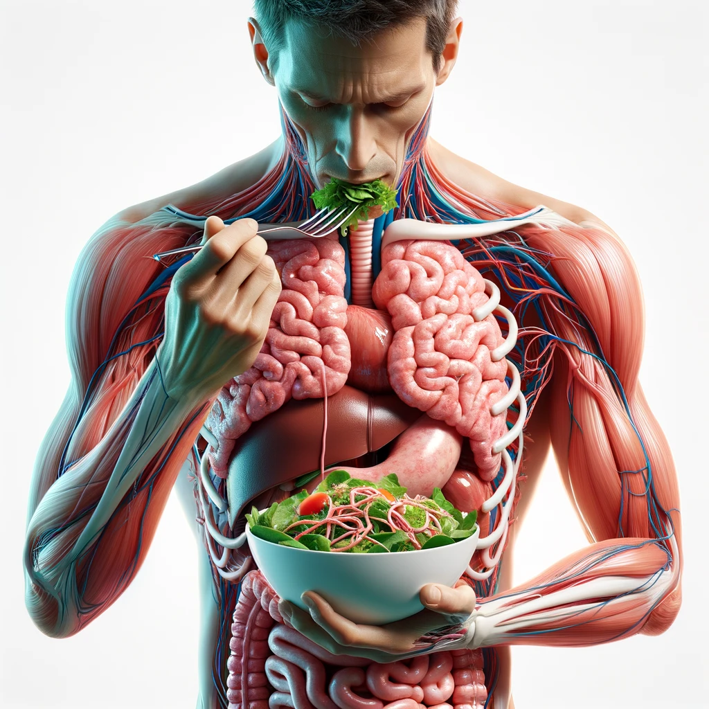 corpo umano anatomico con intestino in evidenza mentre mangia un'insalata con espressione neutra in volto, iperrealistico 4k, isolato su sfondo bianco emoji