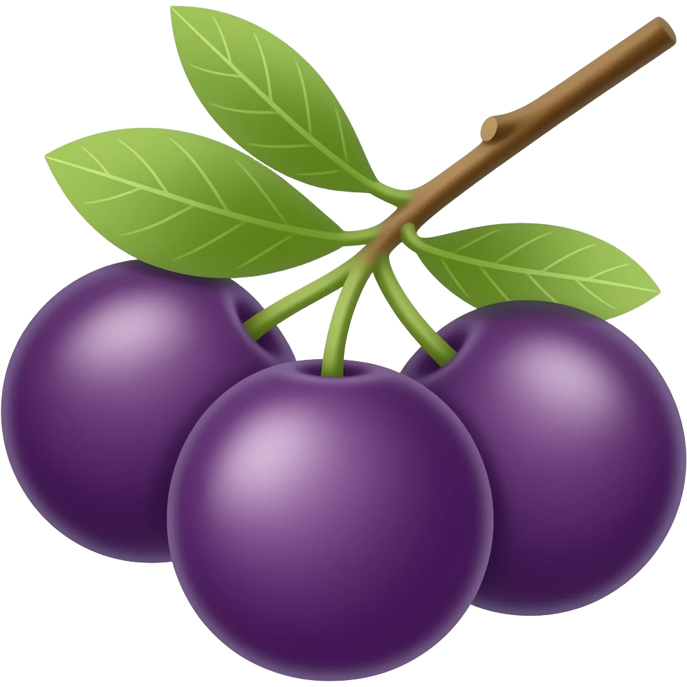 purple jamun fruit two or three in a branch emoji