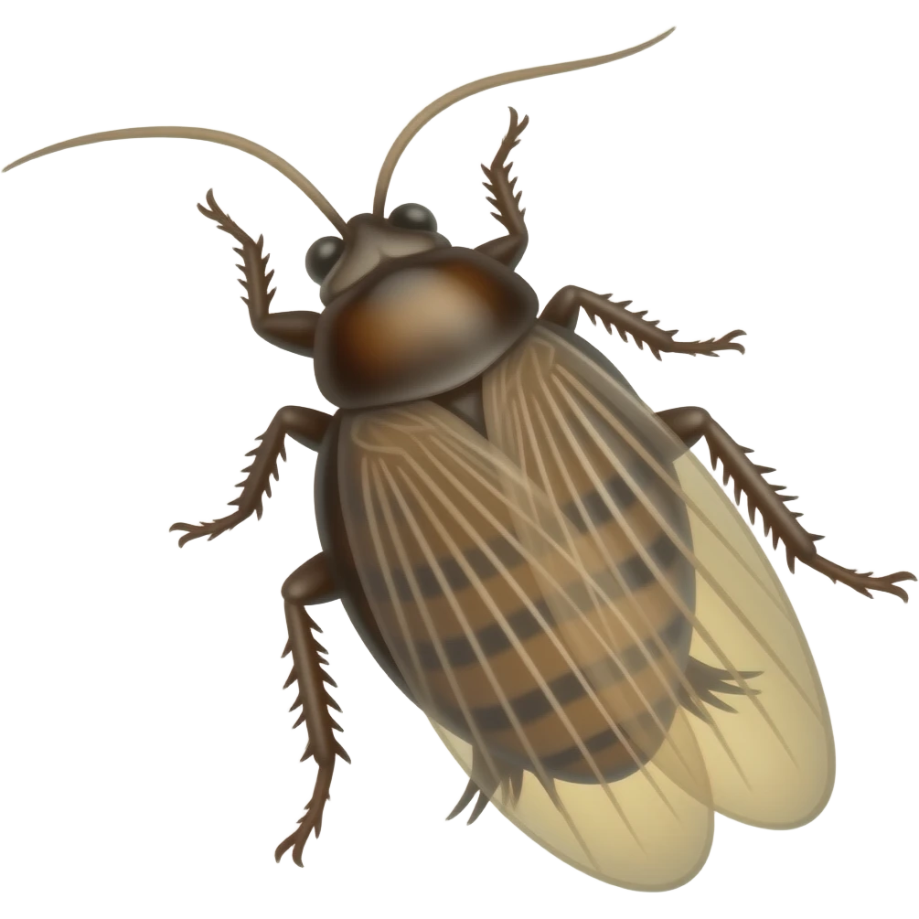 Cockroach emoji