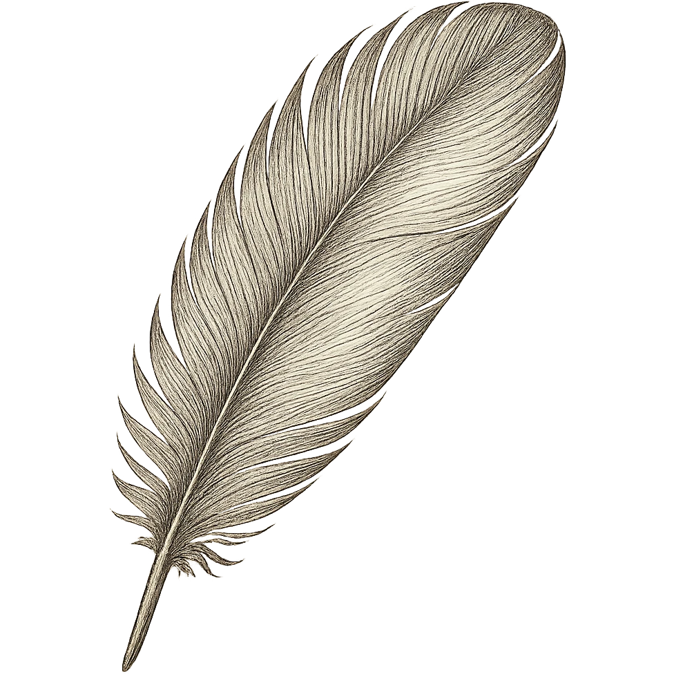 feather, digital illustration emoji