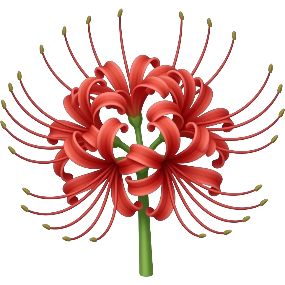 Lycoris radiata emoji