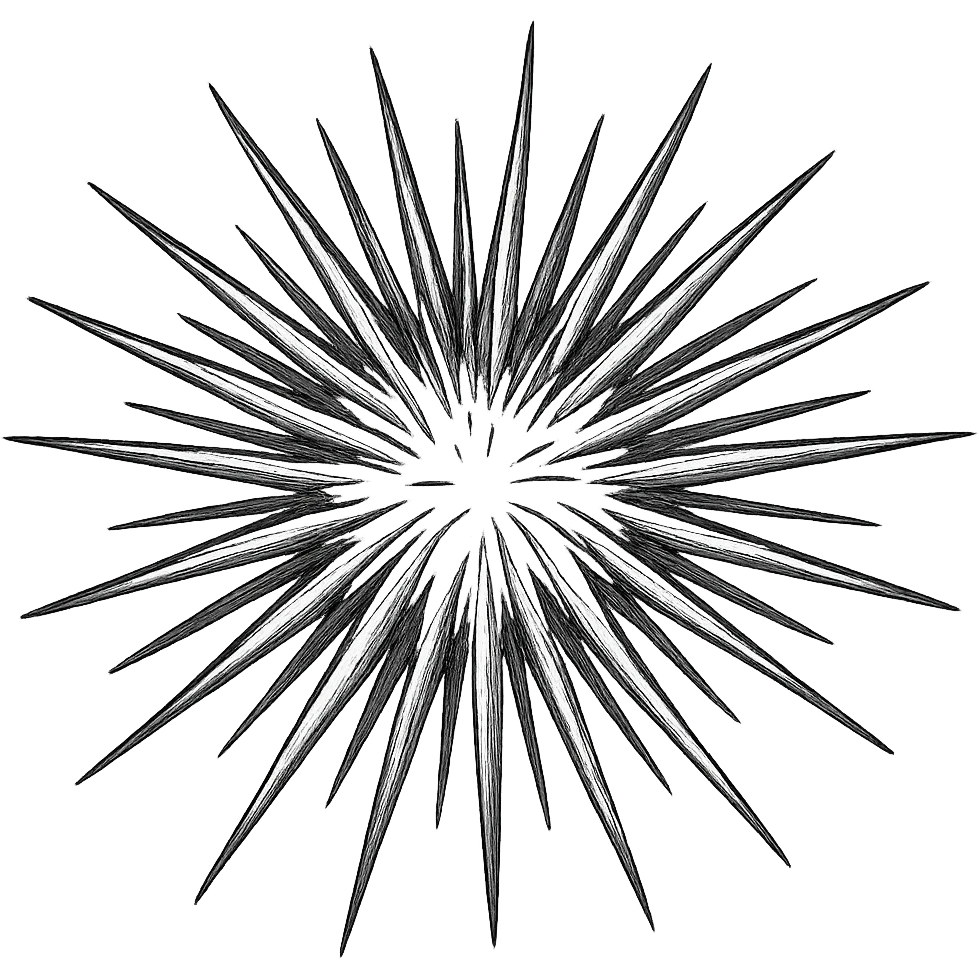 Make the sea urchin shape more realistic, keeping the dangerous spikes, with a transparent background, in a hand drawn icon style with no fill, focusing on detailed and realistic spikes and shape. emoji