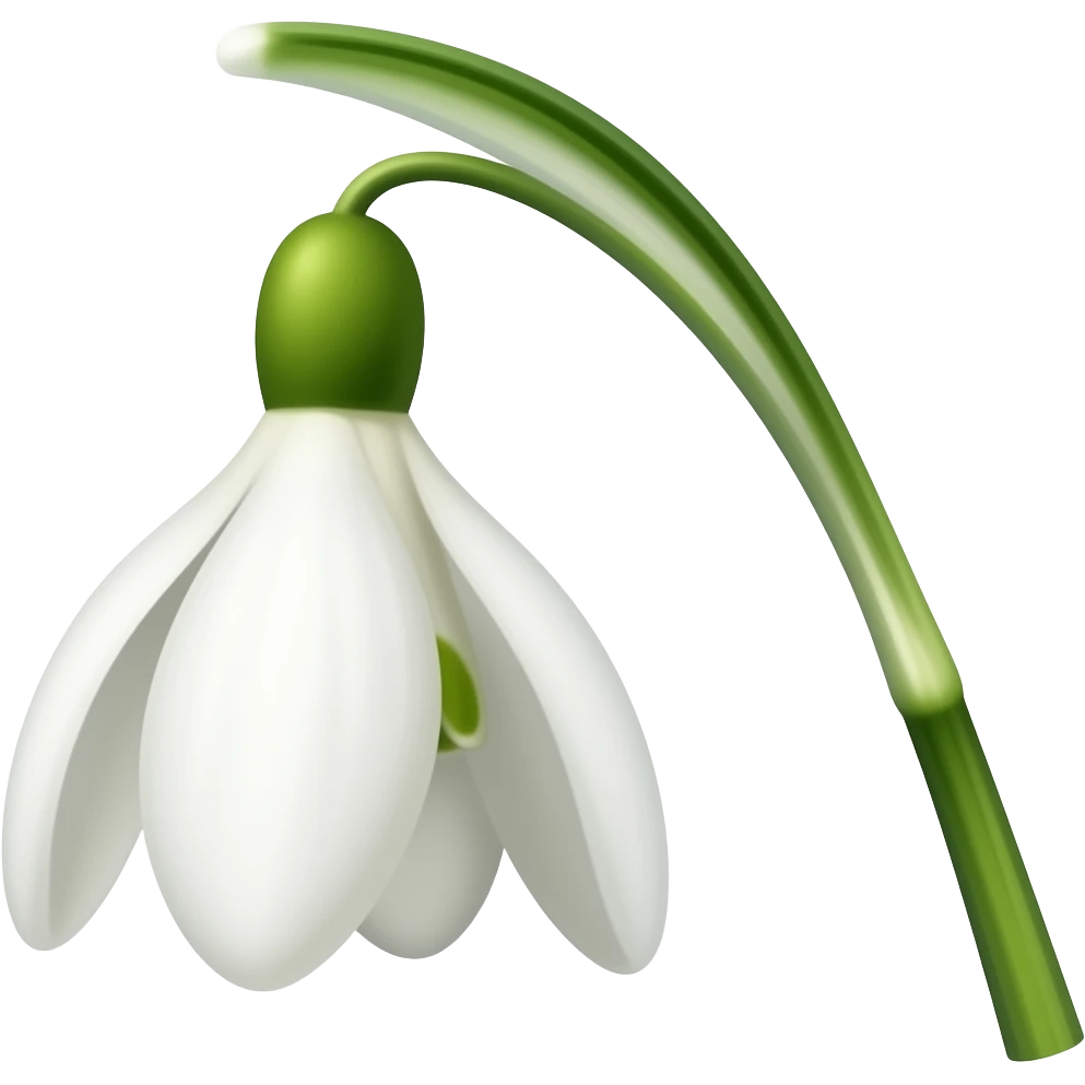 Белый подснежник с длинным белым стеблем emoji