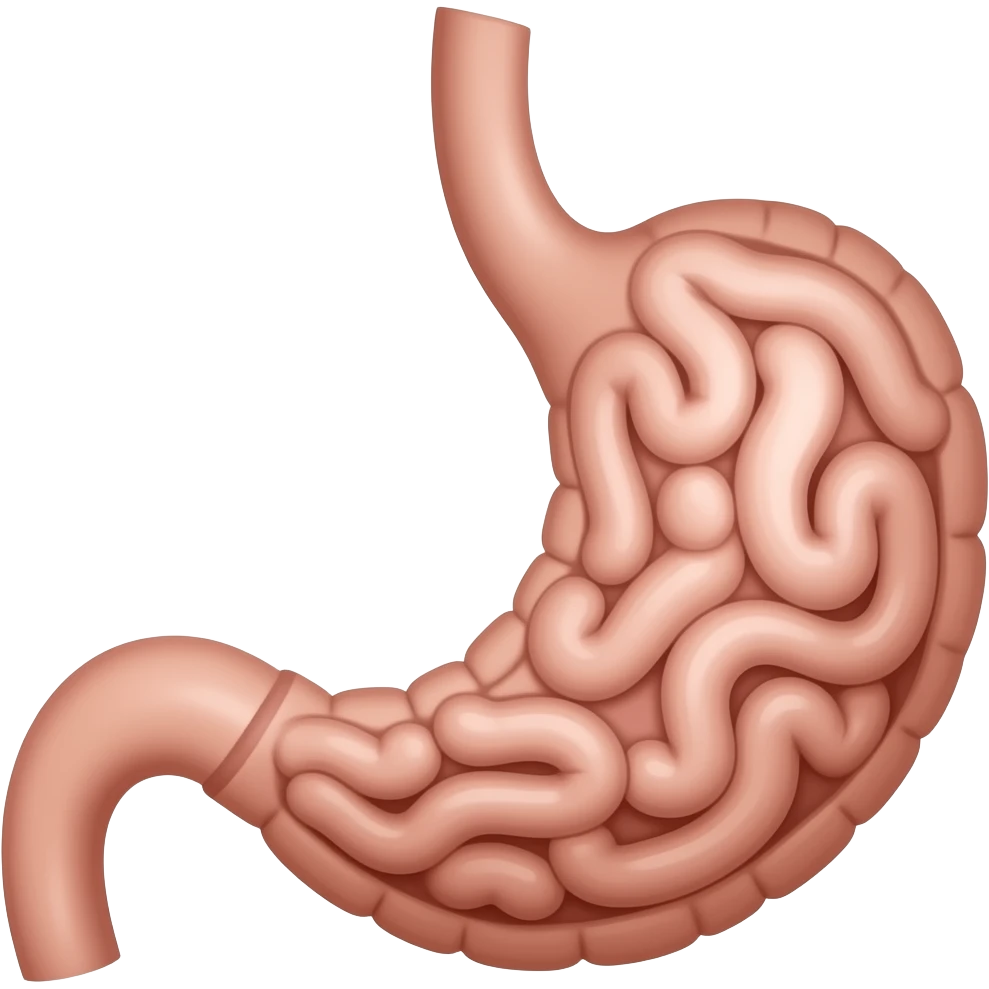 Stomach and intestines emoji
