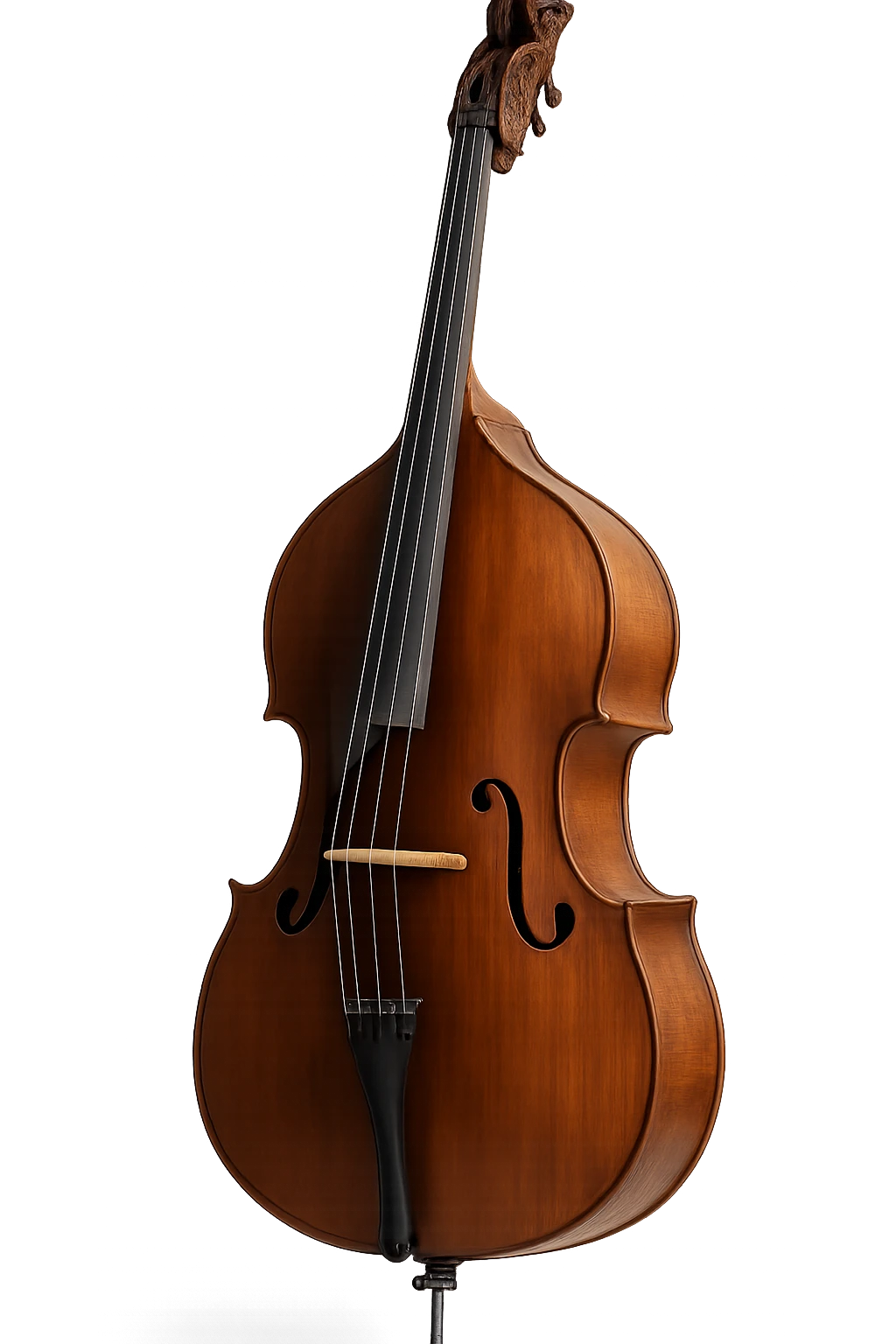 upright bass, detailed, realistic, no background emoji