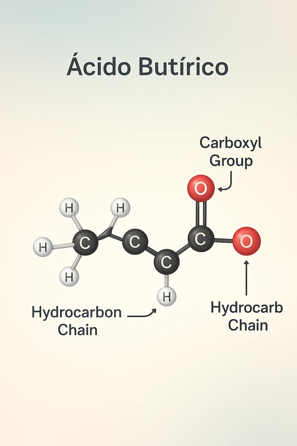 the acido butirrico molecule floats in the center, with animated arrows or labels pointing to the carboxyl group and the hydrocarbon chain. The background is a soft gradient, and the overall style is clean, professional, and suitable for educational materials. emoji