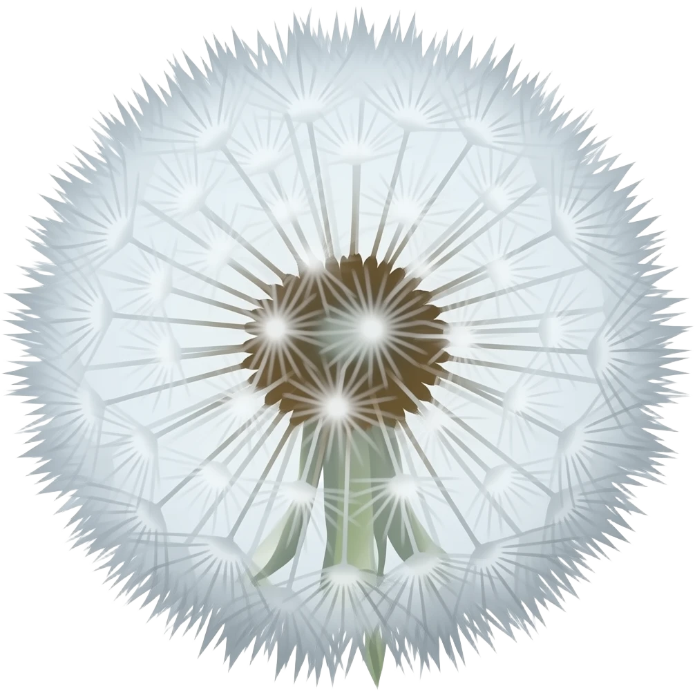 A dandelion flower ehite colour emoji