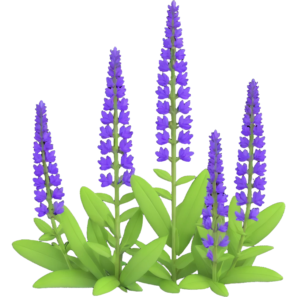 3D iOS cartoon icon of Salvia nemorosa with vertical purple flower spikes, green leaves, expressive volume, cartoon proportions, transparent background emoji