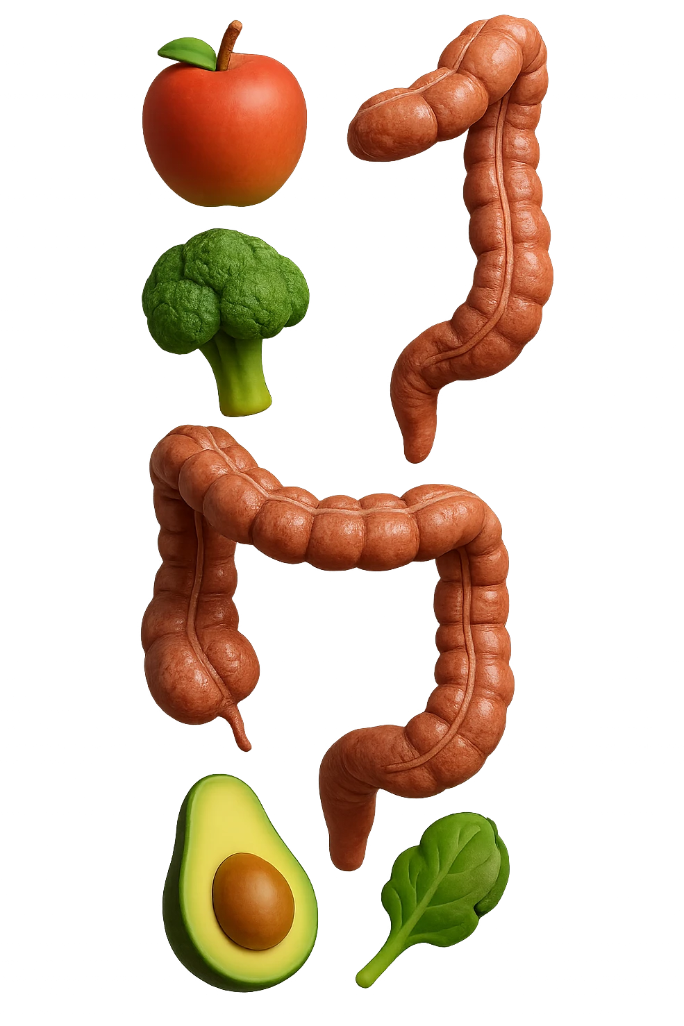 emoji stile iphone in 3d di cibo sano che fluttua in aria vericalmente insieme a pezzi di colon umano anatomico, iperrealistico 4k emoji