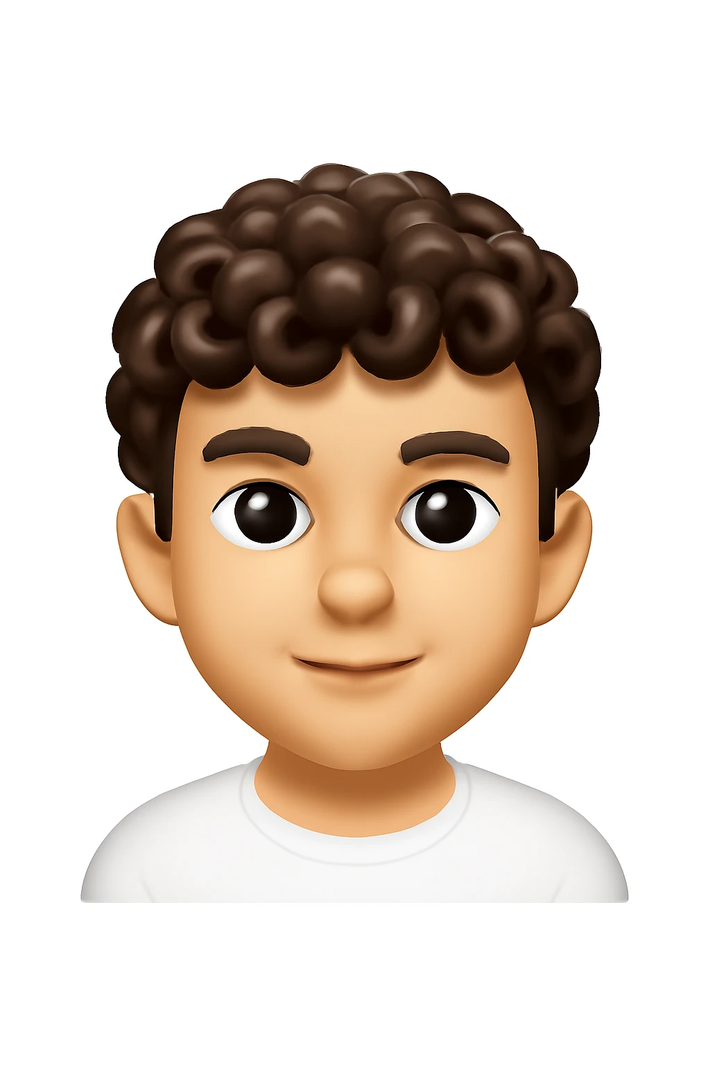 A 3D Apple-style emoji version of the uploaded image, preserving its colors, shapes, textures, and overall design, simplified into emoji form while keeping key details recognizable. Smooth glossy finish, soft shadows, high-quality render, minimal background emoji