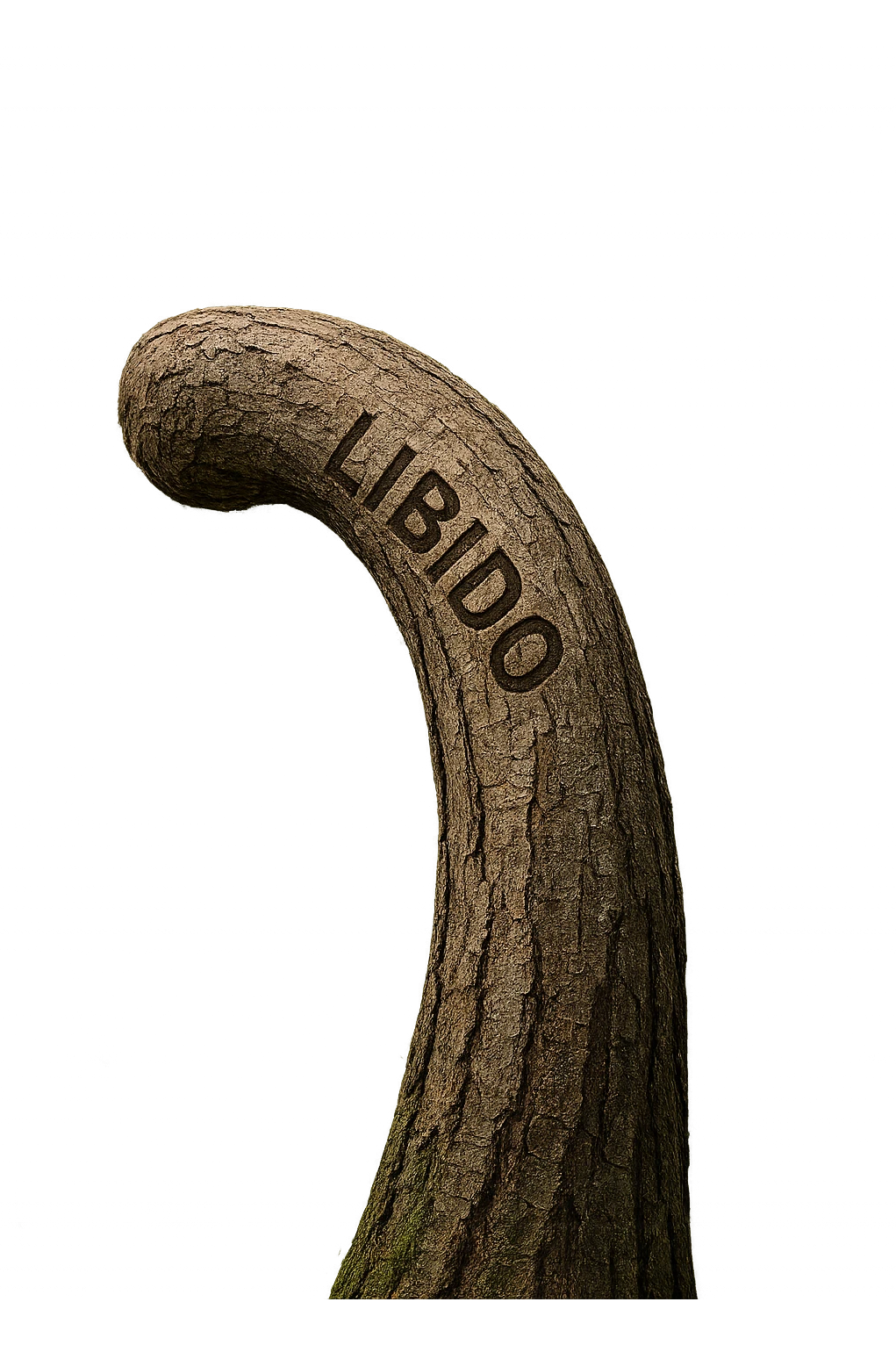 Realistic, vertical 4K illustration: a hyperrealistic tree trunk in a forest setting, noticeably bent, drooping, or wilted instead of standing upright. The bark is textured and detailed WITH THE WORD "LIBIDO" PRINTED ON IT, with subtle cracks and faded colors suggesting loss of vitality. Soft, natural light filters through the surrounding trees, casting gentle shadows. The scene is quiet and contemplative, with the trunk’s unusual, slumped posture symbolizing a decline in male libido. The background is lush and detailed, but the focus remains on the central, softened trunk, evoking a sense of vulnerability and introspection. emoji