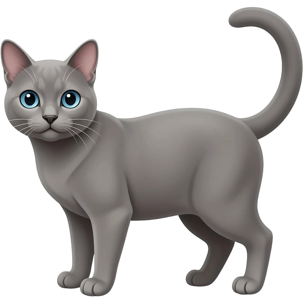 Grey Bangal cat emoji