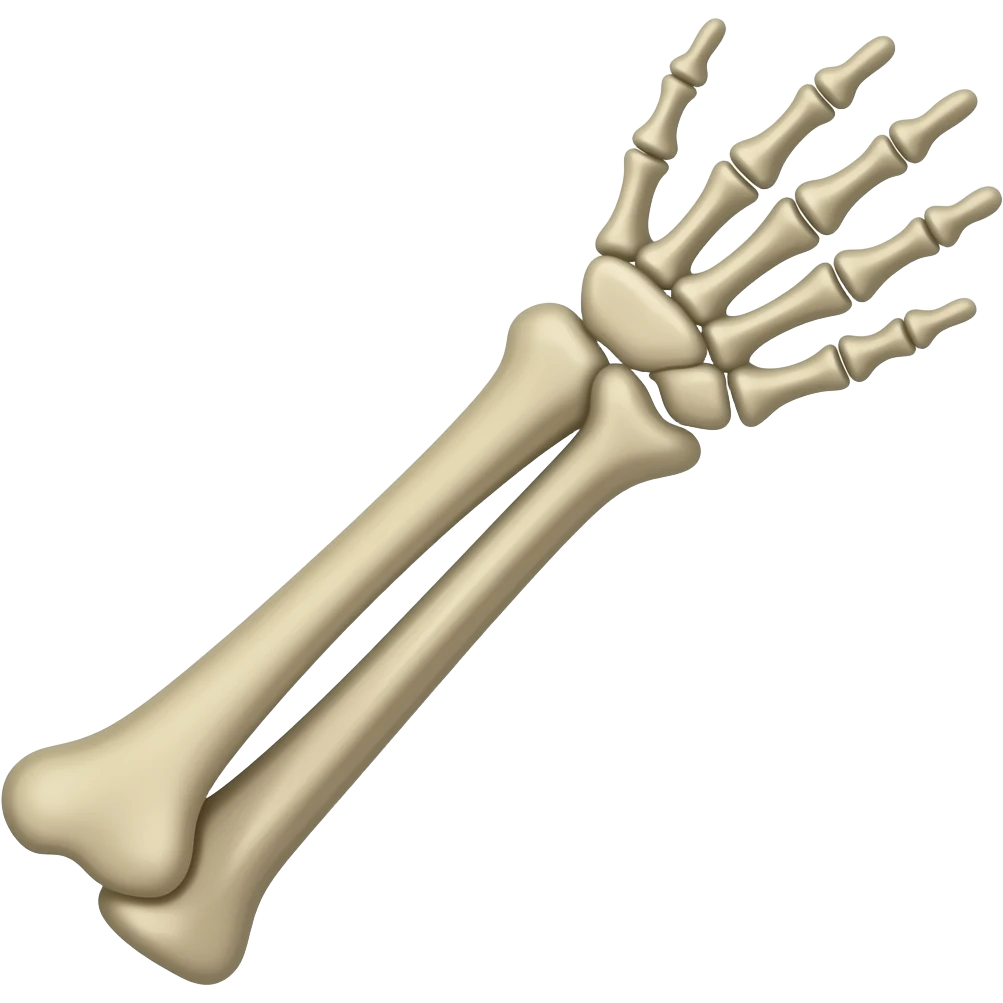 Ossos dos membros superiores emoji