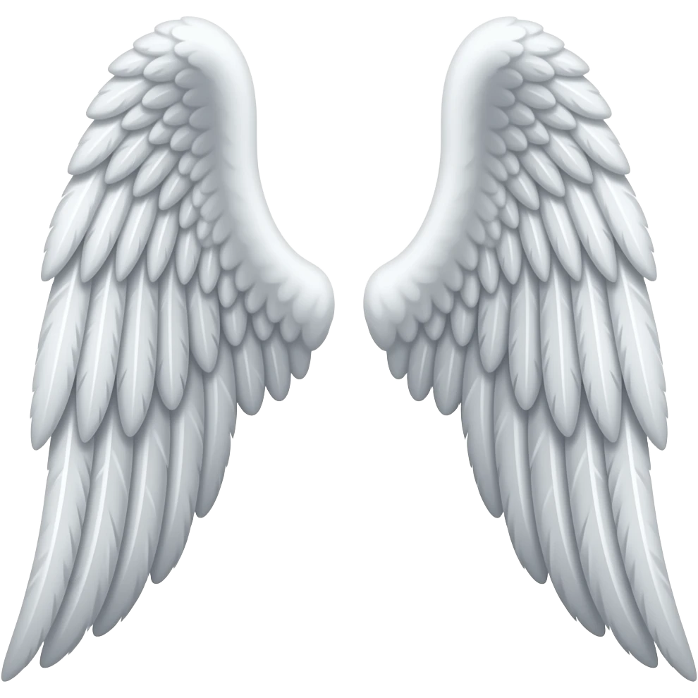 Angel wing emoji on both sides emoji