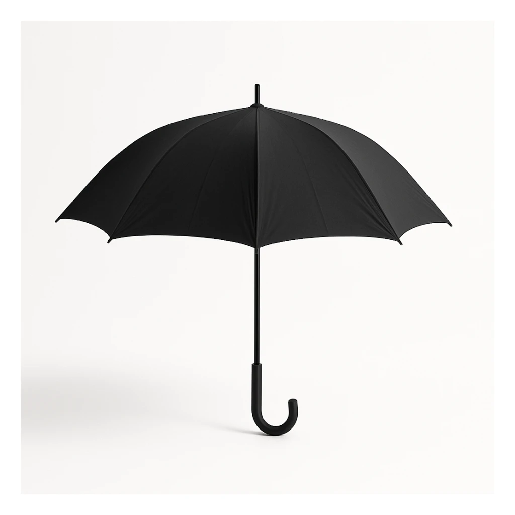 minimal black umbrella on white background, no text sticker