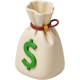 money bag