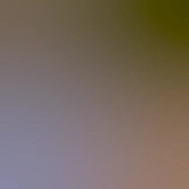 blurhash of the original image