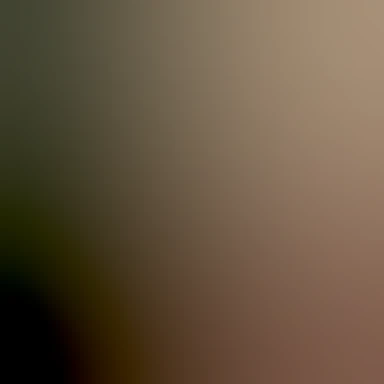 blurhash of the original image