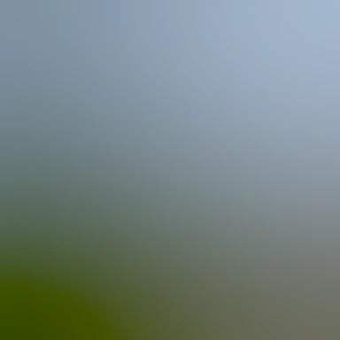 blurhash of the original image