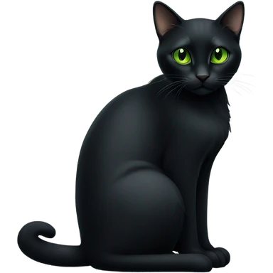 Black cat sticker