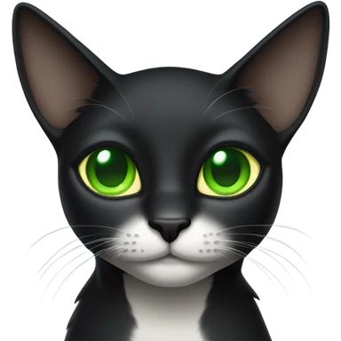 Black cat sticker