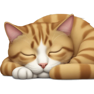Cat sleeping  sticker