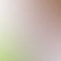 blurhash of the original image
