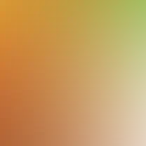 blurhash of the original image