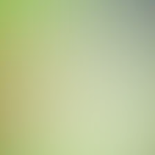 blurhash of the original image