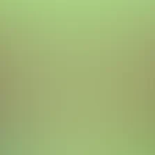 blurhash of the original image