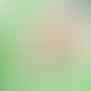 blurhash of the original image