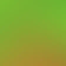 blurhash of the original image