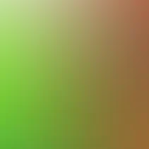 blurhash of the original image