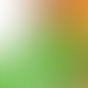 blurhash of the original image