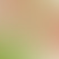 blurhash of the original image