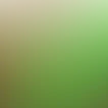 blurhash of the original image
