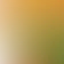 blurhash of the original image