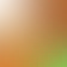blurhash of the original image