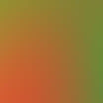 blurhash of the original image