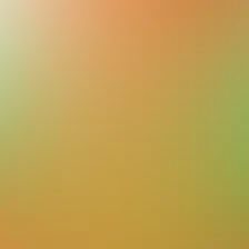 blurhash of the original image