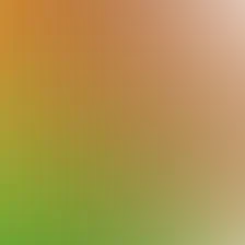 blurhash of the original image