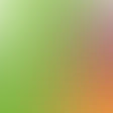 blurhash of the original image