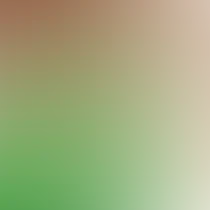 blurhash of the original image