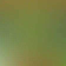 blurhash of the original image