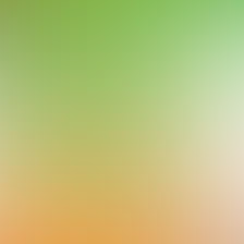 blurhash of the original image