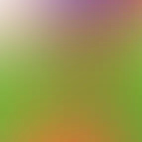 blurhash of the original image